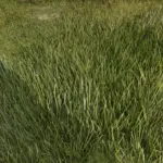 Xtreme-Grass-Enhanced-Grass-and-Foliage-Density2