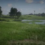 Xtreme-Grass-Enhanced-Grass-and-Foliage-Density3