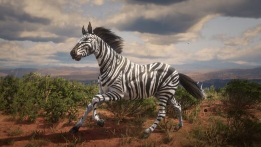 Zebra-1024x576-1