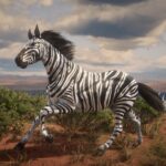 Zebra