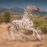 Zebra4