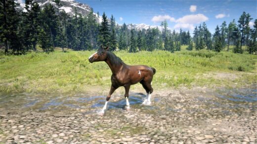 alright-boah-1024x576-1