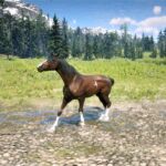 alright-boah