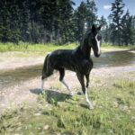 alright-boah2