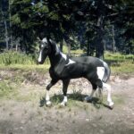 alright-boah3