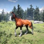 alright-boah4