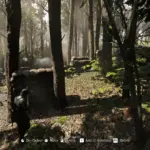 argonne-forest-19182