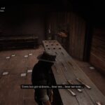 armadillo-gunsmith2