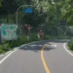 2K Ashinoko Skyline v1.5