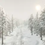 Arctic Circle SWDN v1.0
