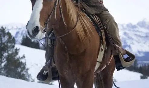django