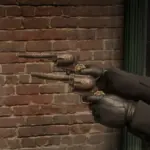 dual-wield-special-revolvers4