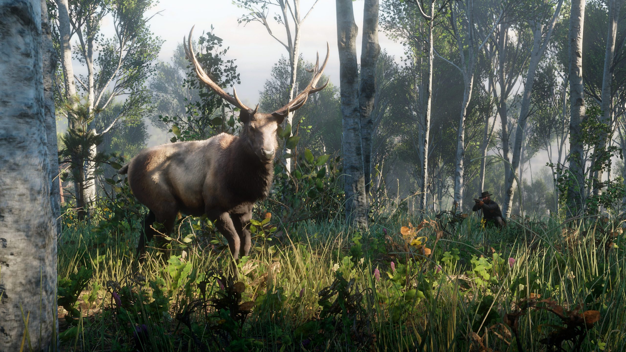 Easier hunting