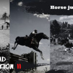 Colorful and Greyscale Photo Artists and Illustrators Collection