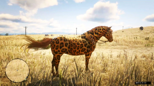 horse-leopard-1024x576-1