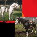 horse-texture