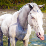 horse-texture4
