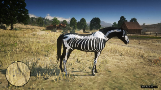 skeleton-horse-1024x576-1
