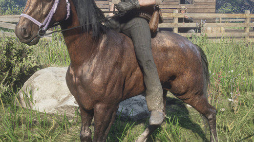 2K-Horse-Restored