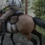 2k-Horse-Hair