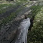2k-Horse-Hair2