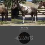 American-Quarter-Horse-Breed3