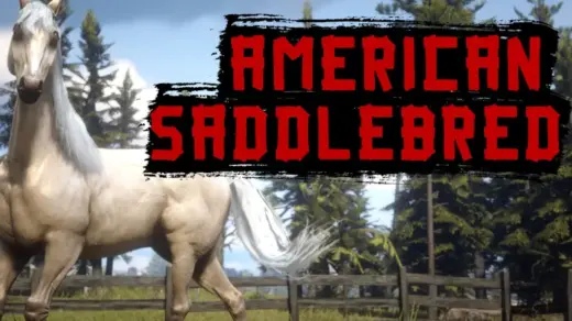 American-Saddlebred-1024x646-1