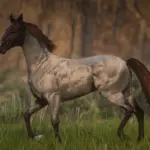 American-Saddlebred-Horse-Breed4