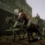 American-Saddlebred3