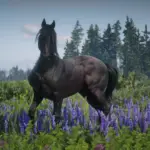 American-Standardbred-Reimagined2