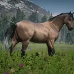 American-Standardbred-Reimagined3