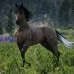 American-Standardbred-Reimagined5