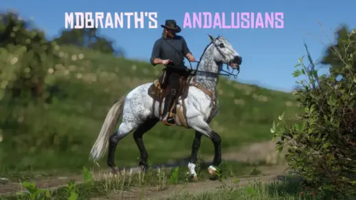 Andalusians-1024x576-1