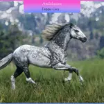 Andalusians2-scaled-1