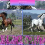 Andalusians3-scaled-1