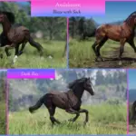 Andalusians4-scaled-1