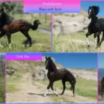 Andalusians5-scaled-1