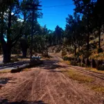 Annesburg-Expanded-And-Revamped-NATURE-EDITION2