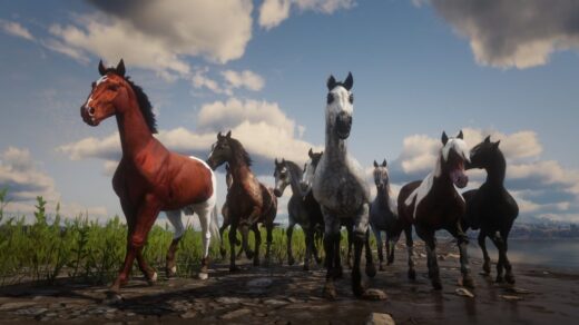 Another-Mod-For-Horse-Coats-1024x576-1