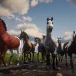 Another-Mod-For-Horse-Coats