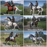 Another-Mod-For-Horse-Coats3-scaled-1