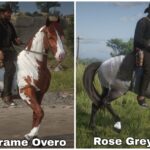 Another-Mod-For-Horse-Coats4-scaled-1
