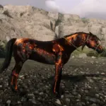 Arabian-Orange-Dapple