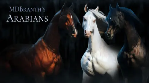 Arabians-1024x576-1
