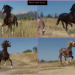 Arabians2-scaled-1