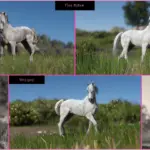 Arabians5-scaled-1