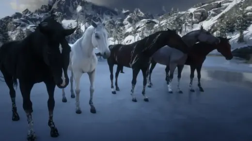 BIGGER-Arabians-1024x576-1