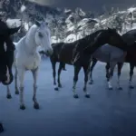 BIGGER-Arabians