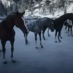 BIGGER-Arabians2