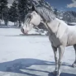 BIGGER-Arabians3